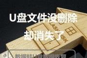 解决电脑U盘文件无法删除的问题（探索U盘文件无法删除的原因及解决方法）