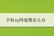 4G信号满格网速却很慢（探究4G网络速度慢的原因和解决办法）