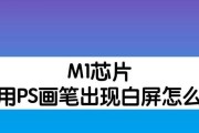 电脑开机白屏怎么解决（解决电脑开机白屏闪烁问题的有效方法）