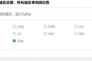 网站域名的重要性（选择合适的域名为网站发展提供基础）