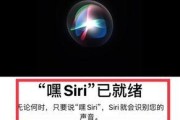 Siri语音唤醒设置教程（如何将Siri语音唤醒设置为默认激活方式）