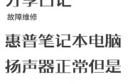 电脑突然没声音了怎么办？解决步骤有哪些？