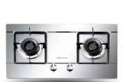 TheRiseofGuangdongBossGasStove（TheKeytoEfficiencyandSafetyinModernKitchens）