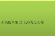 如何解决手机反应慢的问题（快速提升手机反应速度的有效方法）