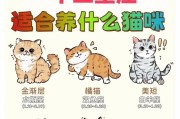 猫咪的品种有哪些？如何根据特点选择适合的猫咪？