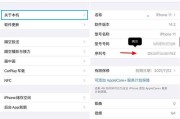 iPhone手机序列号查询方法大揭秘（掌握一招）
