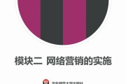 网络营销实施过程详解（从策划到执行）