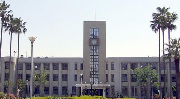 日本大学排名一览（揭秘日本大学排行榜）