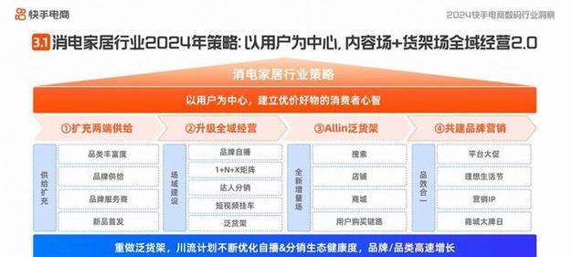 专业网络分销平台（利用互联网技术优势）