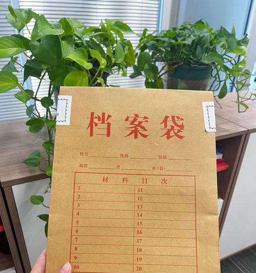 档案丢失了怎么办？如何快速找回重要文件？