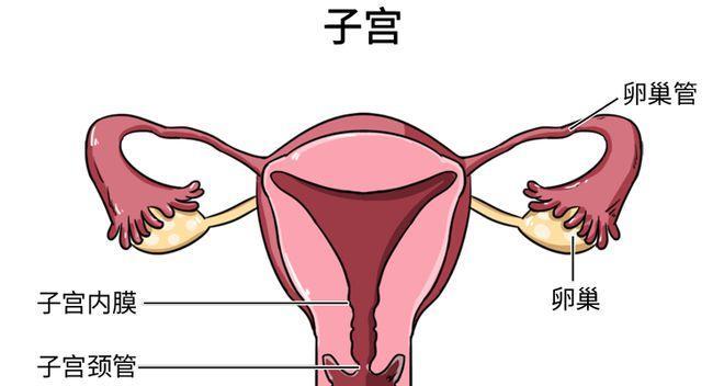 女生来月经期间性生活可行吗？有哪些注意事项？