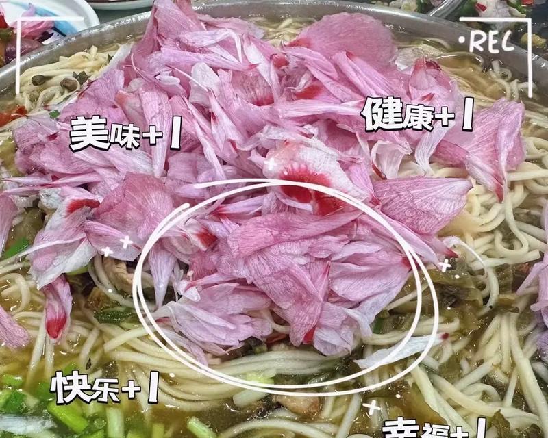 木槿花怎么做好吃简单？有哪些简单食谱推荐？