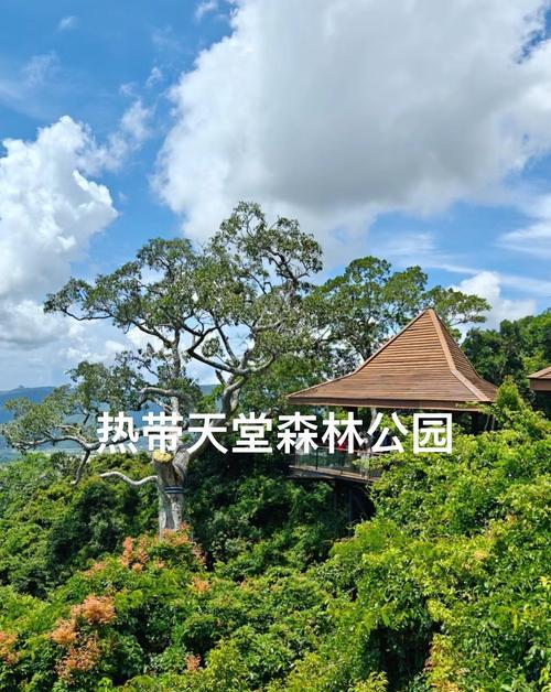 三亚旅游怎么玩最划算？有哪些省钱小技巧？