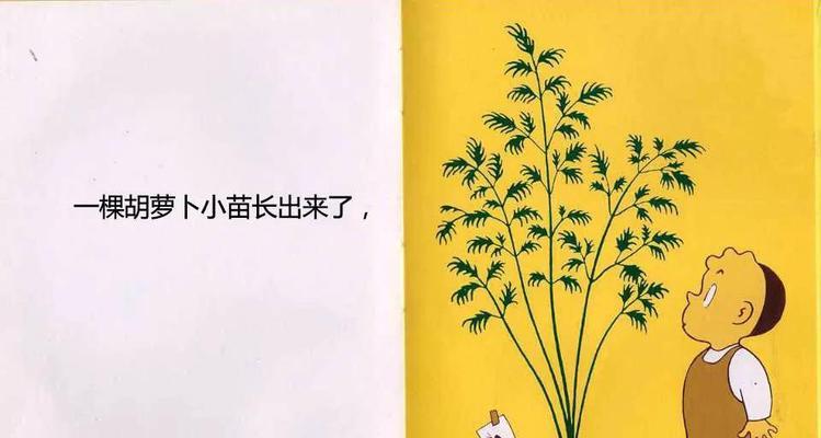 胡萝卜种子怎么种？种植步骤和注意事项是什么？