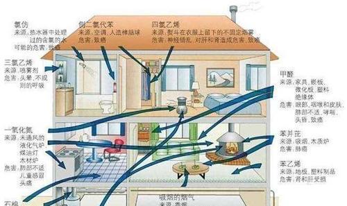 怎样可以净化空气？有效方法和常见误区有哪些？